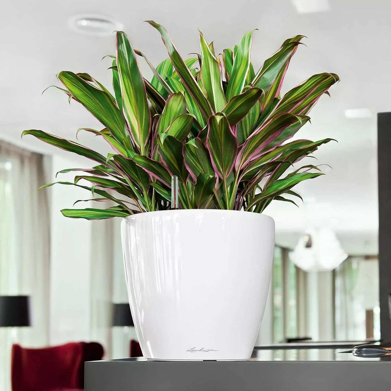 LECHUZA 16020 Classico LS 21 Self-Watering Planter