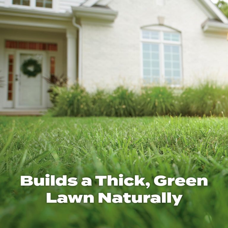Natural Lawn Food