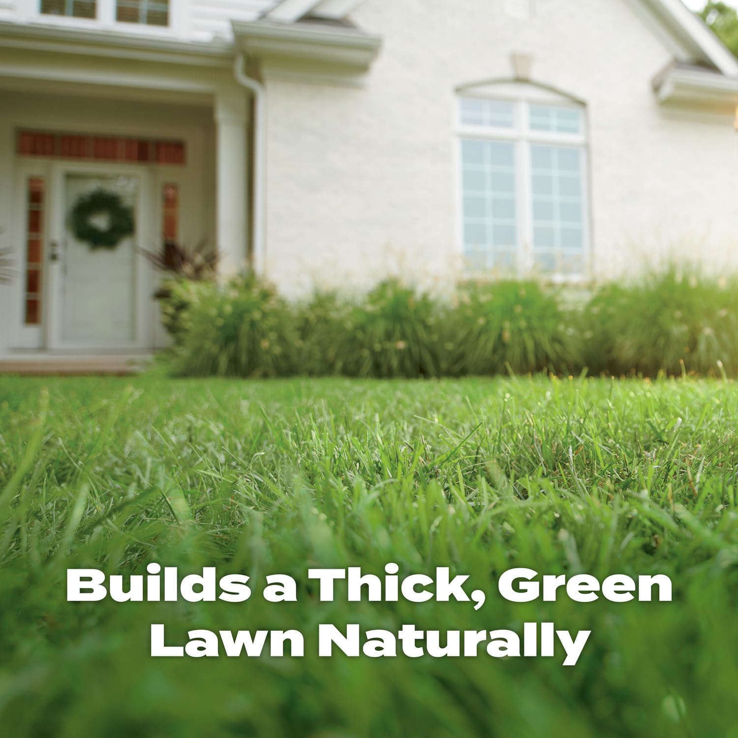 Natural Lawn Food