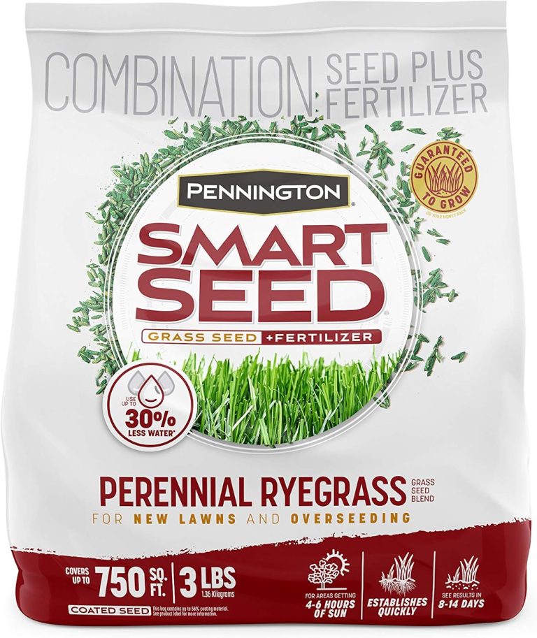 Pennington Smart Seed Perennial Rye Grass Seed