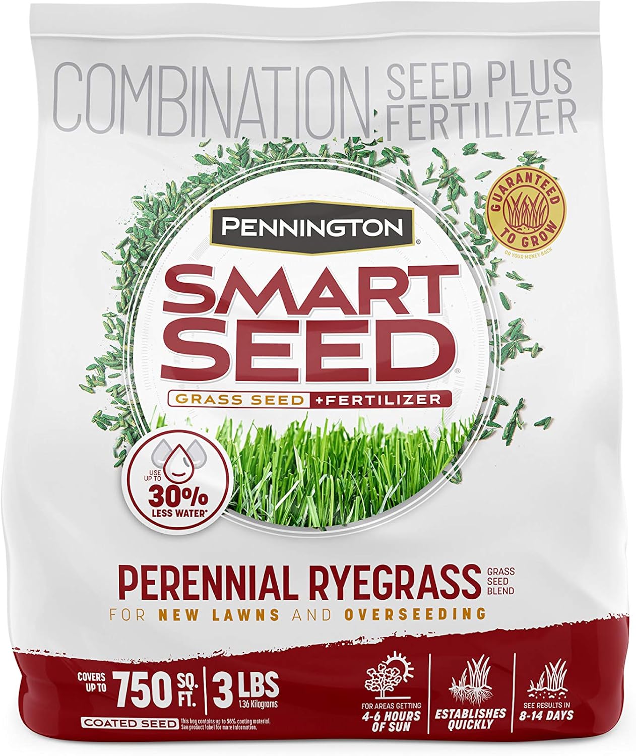 Pennington Smart Seed Perennial Rye Grass Seed