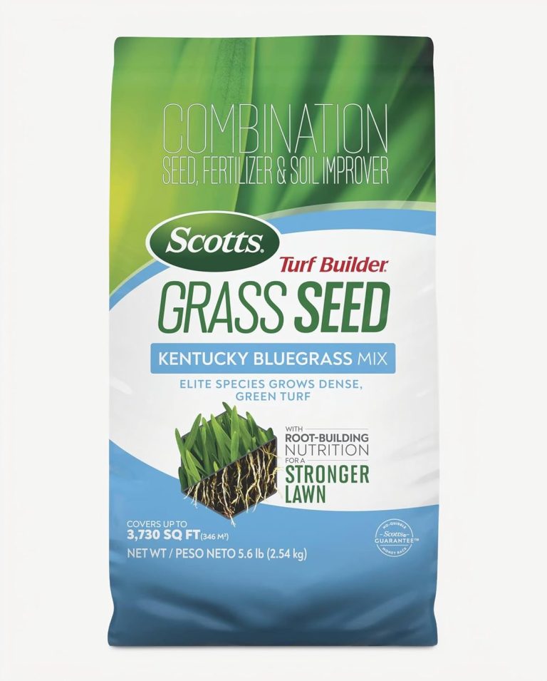 Scotts Turf Builder Grass Seed