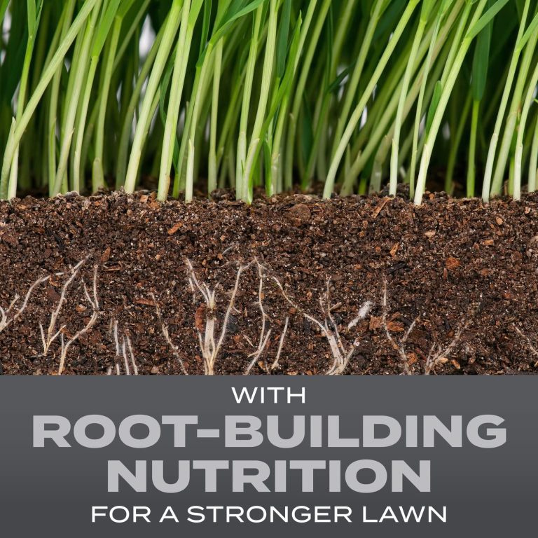 Scotts Turf Builder Grass Seed Pennsylvania State Mix