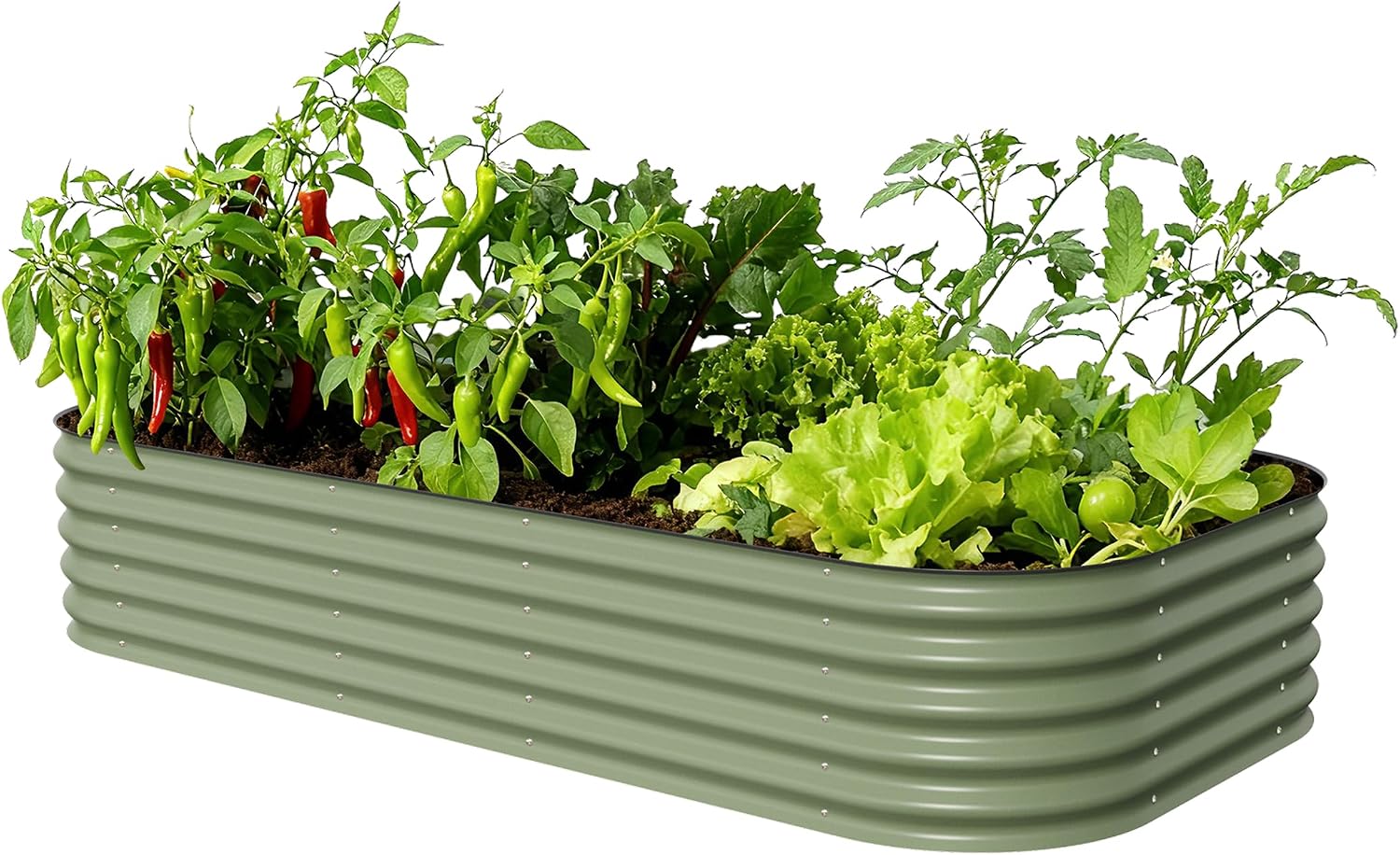 Vego garden Raised Garden Bed Kit