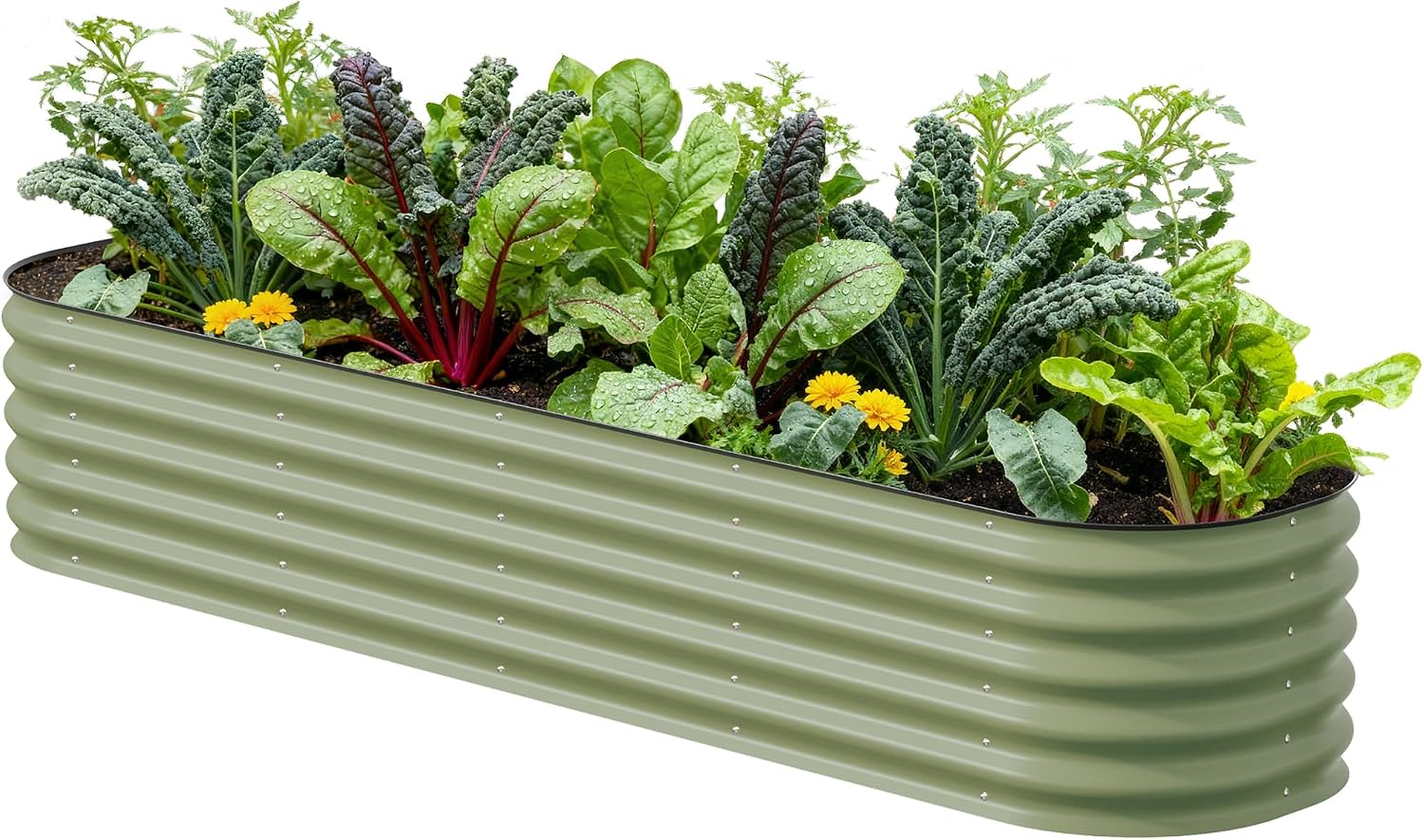 Vego garden Raised Garden Bed Kits
